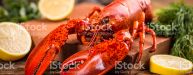 Lobster