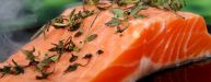 Salmon