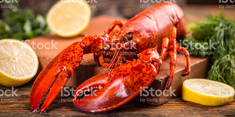 Lobster